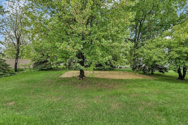 1108 Oak Pond Dr, Sartell, MN 56377 - view of green lawn