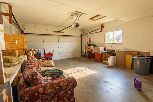 500 Lincoln St, Adams, MN 55909 - garage with a garage door opener