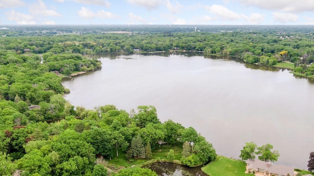 6 Shore Rd, North Oaks, MN 55127 - drone / aerial view of a nearby body of water and a heavily wooded area