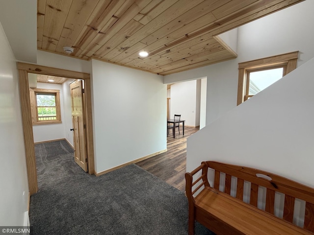 1616 130th Ave, Erin Prairie Twp, WI 54017 - corridor featuring wooden ceiling and baseboards