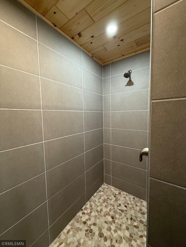 1616 130th Ave, Erin Prairie Twp, WI 54017 - bathroom with a tile shower and recessed lighting