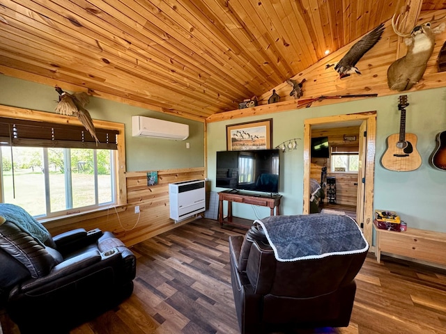 13739 429th Ave, Webster, SD 57274 - living room featuring a wall unit AC, vaulted ceiling, wooden ceiling, plenty of natural light, and heating unit