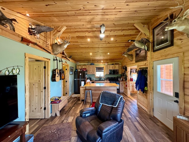 13739 429th Ave, Webster, SD 57274 - living area featuring lofted ceiling, wooden ceiling, and dark wood-type flooring