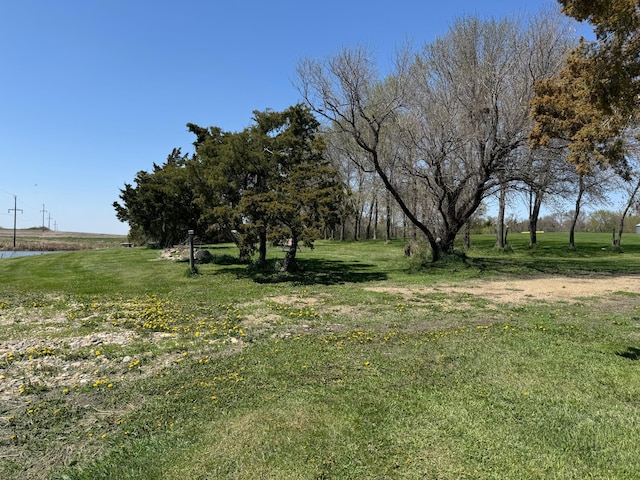 13739 429th Ave, Webster, SD 57274 - view of green lawn