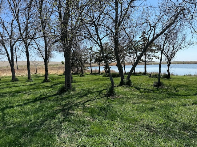 13739 429th Ave, Webster, SD 57274 - view of green lawn with a water view