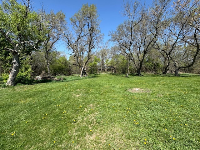 13739 429th Ave, Webster, SD 57274 - view of grassy yard