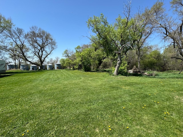 13739 429th Ave, Webster, SD 57274 - view of green lawn