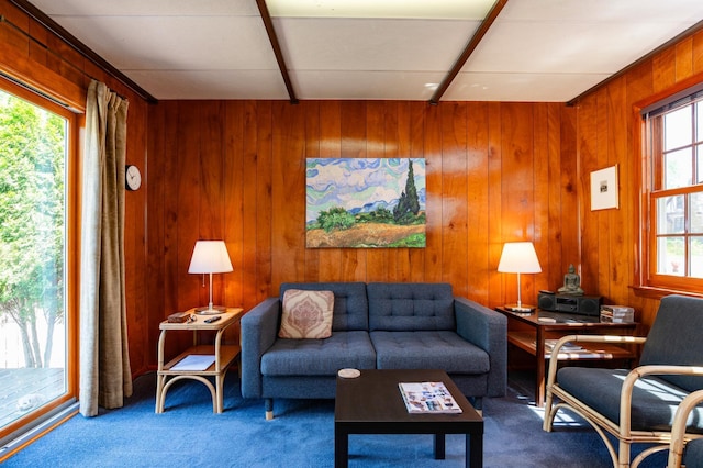 living area featuring carpet and wood walls