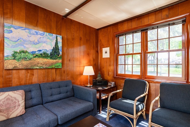 living room featuring wooden walls and carpet