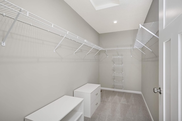 819 Roselyn Dr, Victoria, MN 55386 - walk in closet featuring carpet floors