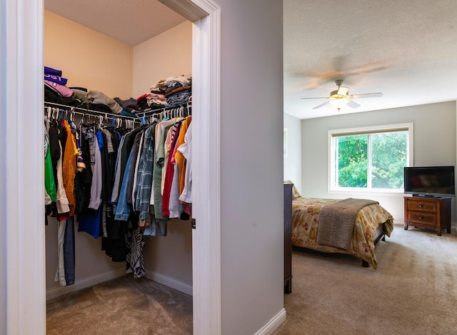 721 Quail Pkwy, Watertown, MN 55388 - carpeted bedroom featuring a closet, baseboards, and ceiling fan