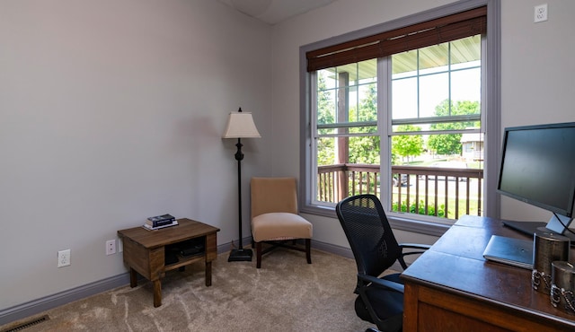 721 Quail Pkwy, Watertown, MN 55388 - office space featuring carpet, plenty of natural light, and baseboards