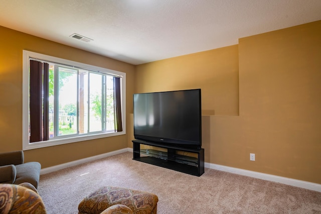 721 Quail Pkwy, Watertown, MN 55388 - living area with carpet floors and baseboards