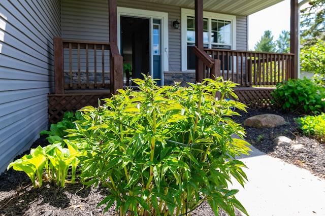 721 Quail Pkwy, Watertown, MN 55388 - view of exterior entry featuring a porch and stone siding