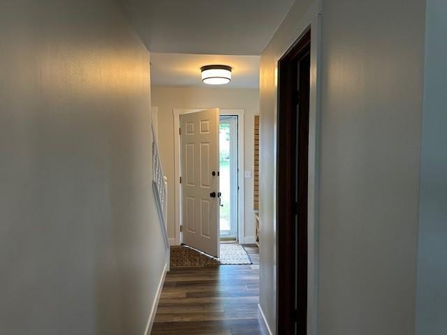4180 Reading Rd, Eagan, MN 55123 - hall featuring dark wood-type flooring and baseboards