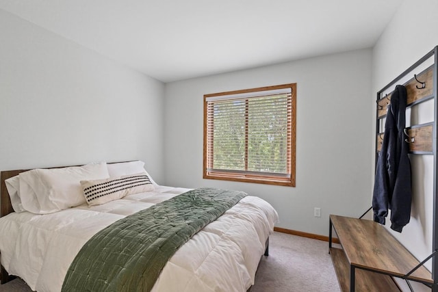 4180 Reading Rd, Eagan, MN 55123 - bedroom with carpet floors and baseboards