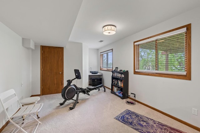 4180 Reading Rd, Eagan, MN 55123 - exercise room with carpet and baseboards