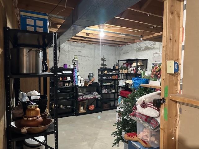 4180 Reading Rd, Eagan, MN 55123 - view of storage