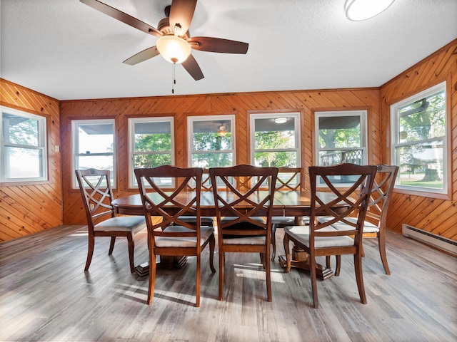 28604 Shore Dr, Starbuck, MN 56381 - dining space with wooden walls, healthy amount of natural light, ceiling fan, light wood-style flooring, and a textured ceiling