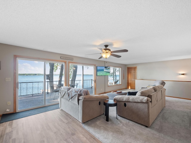 28604 Shore Dr, Starbuck, MN 56381 - living room featuring ceiling fan, baseboards, a textured ceiling, and light wood finished floors