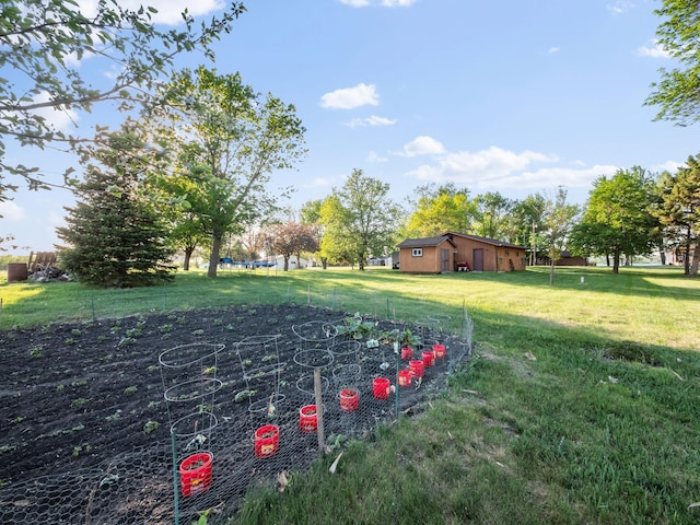 28604 Shore Dr, Starbuck, MN 56381 - view of green lawn