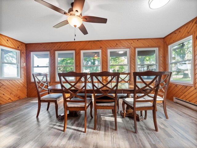 28604 Shore Dr, Starbuck, MN 56381 - photo 9