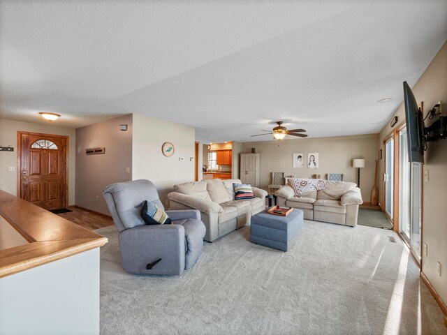 28604 Shore Dr, Starbuck, MN 56381 - photo 10