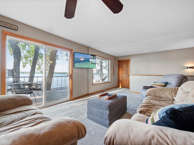 28604 Shore Dr, Starbuck, MN 56381 - photo 13