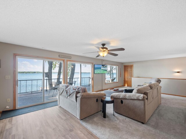 28604 Shore Dr, Starbuck, MN 56381 - photo 14