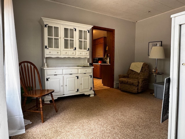 208 Cush St, Jackson, MN 56143 - living area with light carpet and crown molding