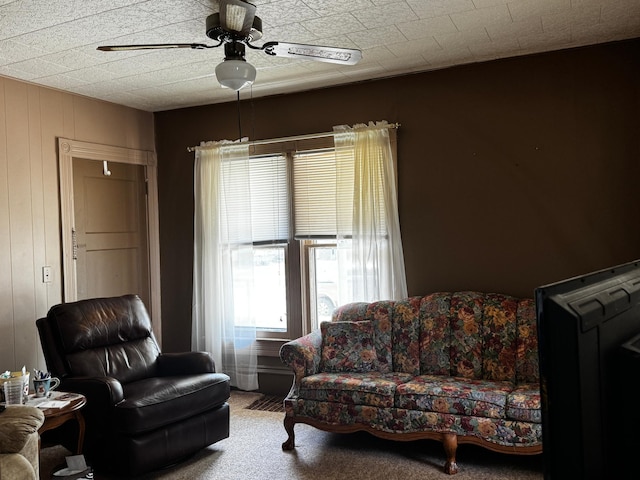 208 Cush St, Jackson, MN 56143 - carpeted living area with ceiling fan
