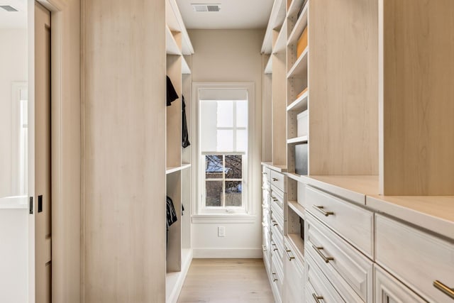 1301 Mount Curve Ave, Minneapolis, MN 55403 - spacious closet with light wood-style floors