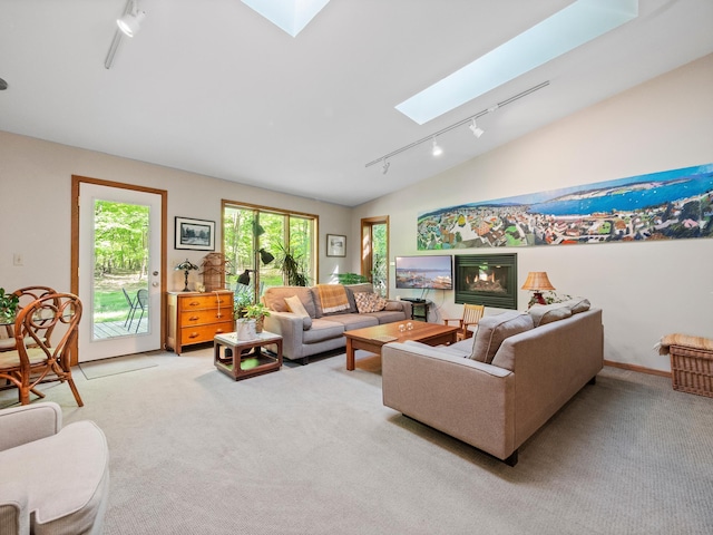 2536 Sandhill Ln NE, Carlos Twp, MN 56308 - living area with track lighting, a skylight, light carpet, and vaulted ceiling