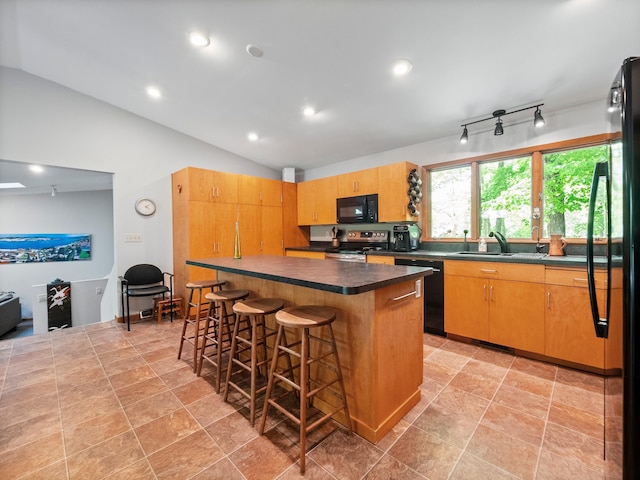 2536 Sandhill Ln NE, Carlos Twp, MN 56308 - kitchen with black appliances, vaulted ceiling, a sink, dark countertops, and a kitchen bar