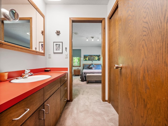 2536 Sandhill Ln NE, Carlos Twp, MN 56308 - ensuite bathroom with a textured ceiling, vanity, and track lighting