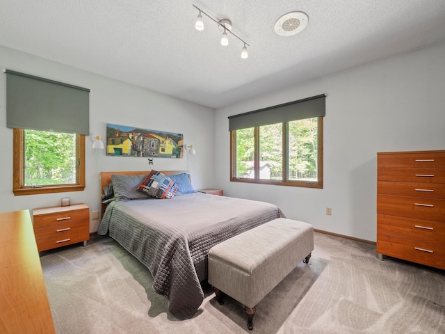 2536 Sandhill Ln NE, Carlos Twp, MN 56308 - bedroom featuring light carpet, multiple windows, track lighting, baseboards, and a textured ceiling