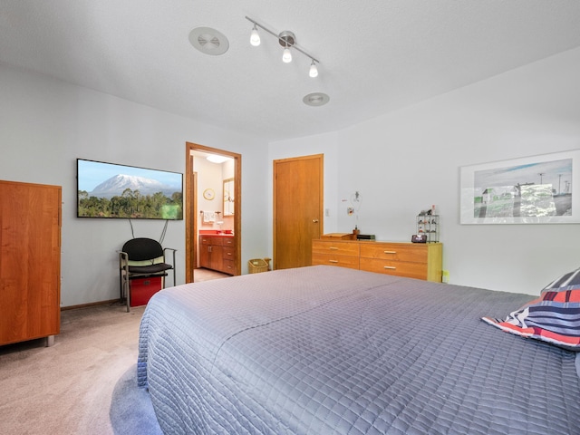 2536 Sandhill Ln NE, Carlos Twp, MN 56308 - bedroom with light colored carpet and ensuite bathroom