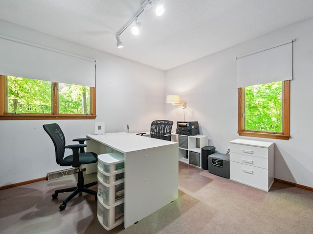 2536 Sandhill Ln NE, Carlos Twp, MN 56308 - office area with healthy amount of natural light, track lighting, and light colored carpet