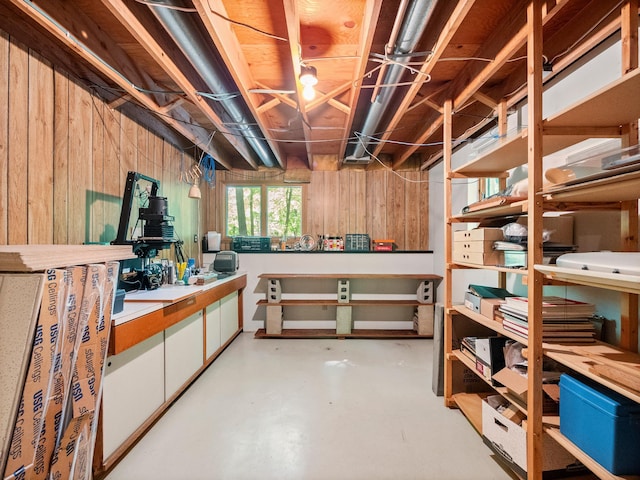 2536 Sandhill Ln NE, Carlos Twp, MN 56308 - basement with wood walls and a workshop area