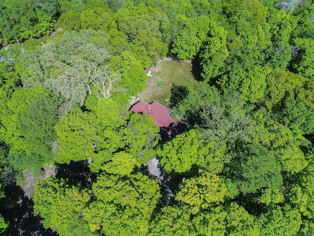 2536 Sandhill Ln NE, Carlos Twp, MN 56308 - aerial view of a forest