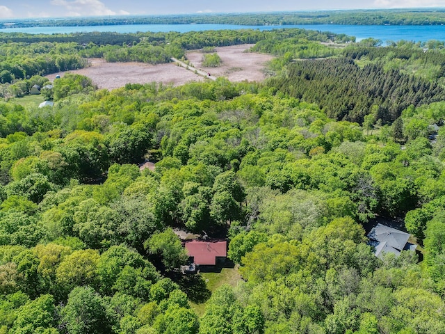 2536 Sandhill Ln NE, Carlos Twp, MN 56308 - bird's eye view of a heavily wooded area and a nearby body of water