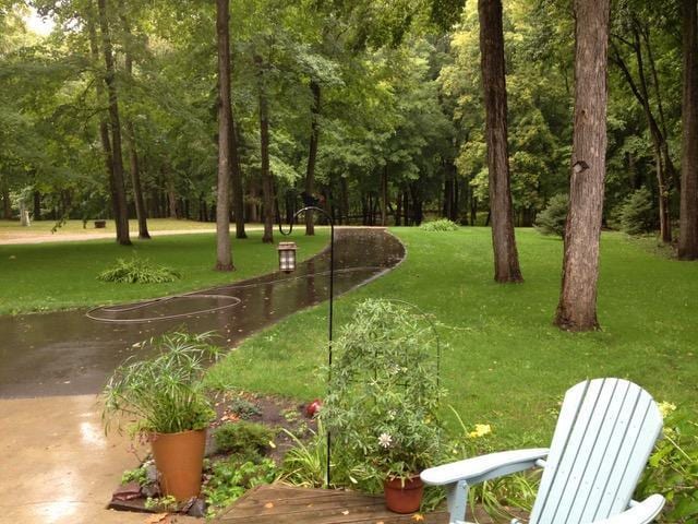 2536 Sandhill Ln NE, Carlos Twp, MN 56308 - view of home's community with a yard