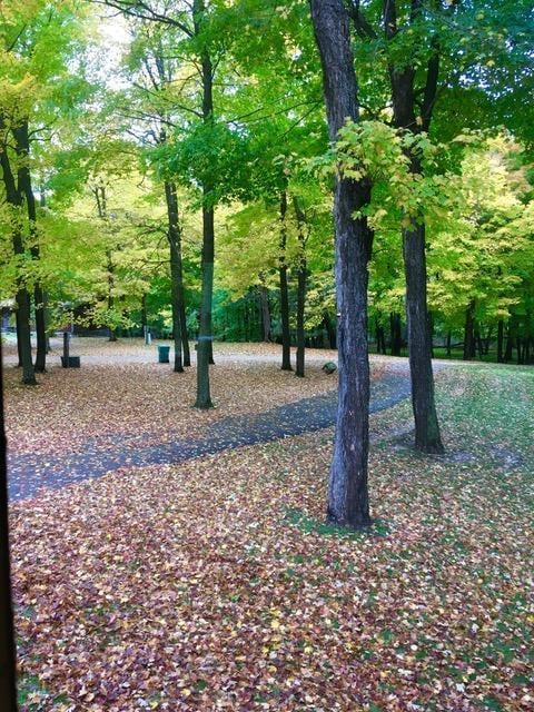2536 Sandhill Ln NE, Carlos Twp, MN 56308 - view of surrounding community