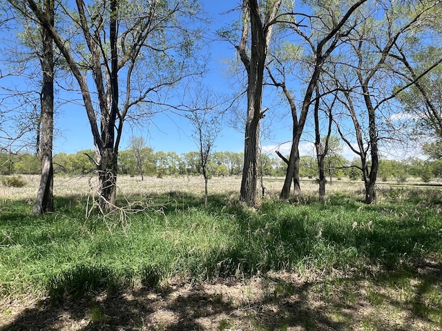 34373 State Highway 7, Foster Twp, MN 56225 - view of local wilderness with rural landscape