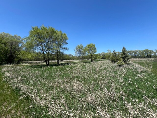 34373 State Highway 7, Foster Twp, MN 56225 - view of undeveloped land featuring rural landscape