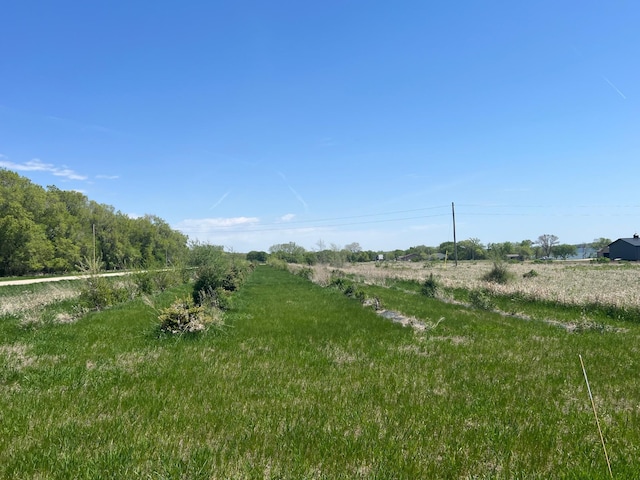 34373 State Highway 7, Foster Twp, MN 56225 - view of yard with a view of rural / pastoral area