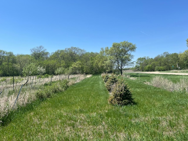 34373 State Highway 7, Foster Twp, MN 56225 - view of yard with a view of countryside
