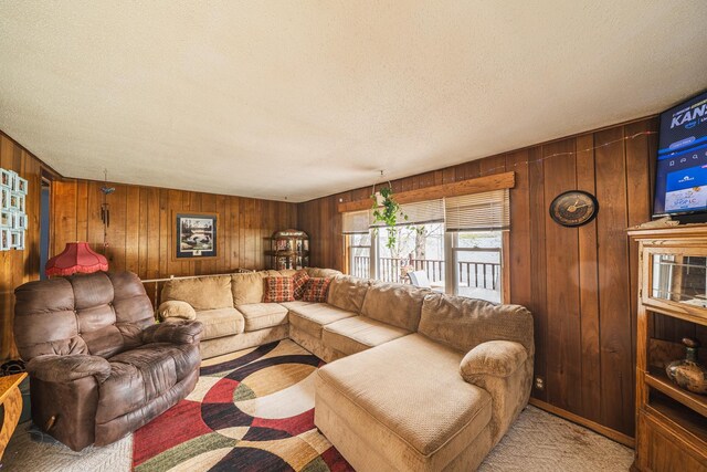 46568 Poss Beach Rd, Dunn Twp, MN 56572 - living room featuring wood walls and a textured ceiling