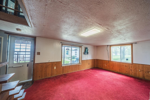 46568 Poss Beach Rd, Dunn Twp, MN 56572 - empty room with a wainscoted wall, a textured ceiling, wooden walls, and carpet floors