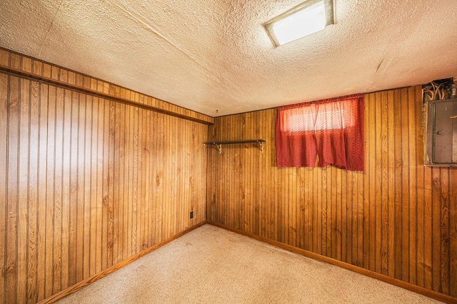46568 Poss Beach Rd, Dunn Twp, MN 56572 - finished below grade area with wood walls, a textured ceiling, and carpet floors